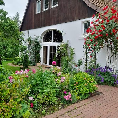 Gaestehaus Alte Liebe Borgholzhausen Екстер'єр фото